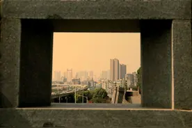 波浪理论之自然法则图片