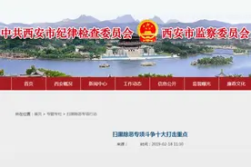 6种押车贷款行为危险！遵循中央政策指示：加强“扫黑除恶”力度图片