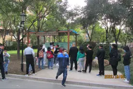 专家被拍砖的方法论解释（系列论丛之三）图片