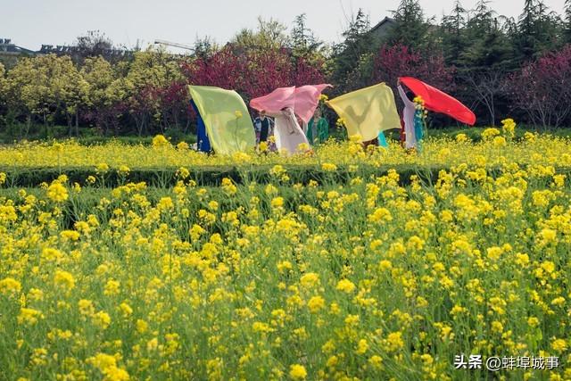 情感美文：向来缘浅，奈何情深