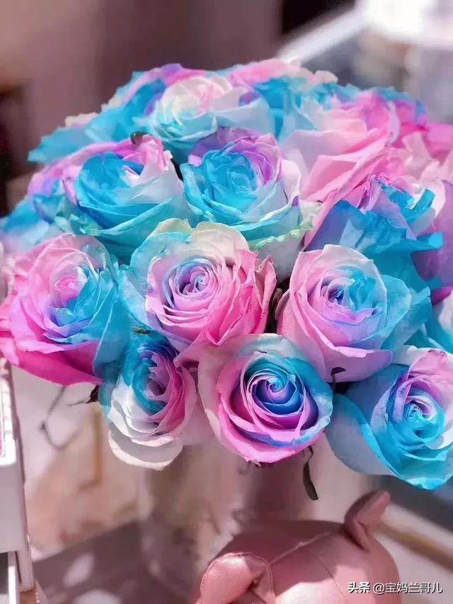 罕见稀有玫瑰花,太惊艳了,五彩缤纷,争奇斗艳,婀娜多姿