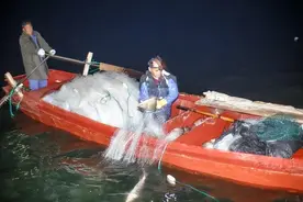 “一晚捕捞3000斤鱼”！密云水库开渔，水库里的鱼从哪里来的？图片