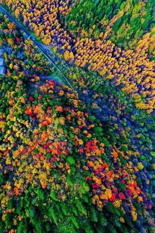 免费！免费！彭州这4个地方彩林已红透，错过等一年！