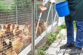 农用地上建设养殖场，是不是违建谁来确定？自然资源部明确了图片