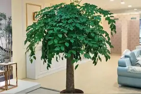 装修前必看！这两个风水禁忌犯一个毁三代，设计师连夜修改方案！图片