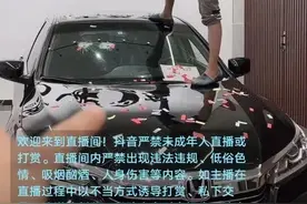 二手车行业现状图片