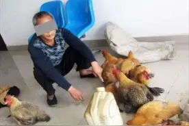 河南男子半夜偷鸡，被女主人扔鞭炮吓死，家属索赔50万，法院判了图片