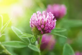 表面对你好，心里却讨厌你的人，有这几种表现图片