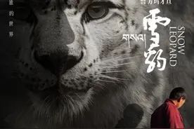 万玛才旦遗作《雪豹》官宣定档4月3日：一人一豹，对立而融；现实的冲突，人豹的矛盾，善意的闪现图片
