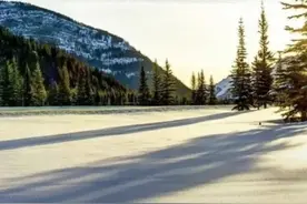 行政处罚调查终结的时间节点如何确定图片