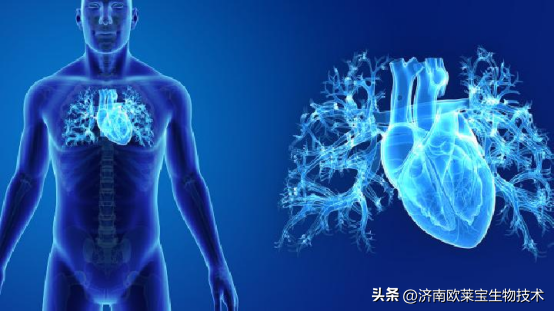心肌炎能否自愈？应该如何治疗？