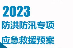 Word |【方案】防洪防汛专项应急救援预案（19页）图片