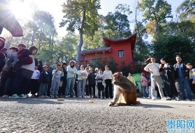 黔灵山公园冬日迎游客热潮