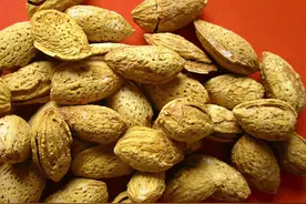 干果之巴旦木图片