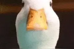 “小天才”被约谈！厦门门店情况如何？图片