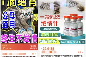 起底“一滴绝育”的宠物禁情药 给宠物做绝育手术有必要吗？图片