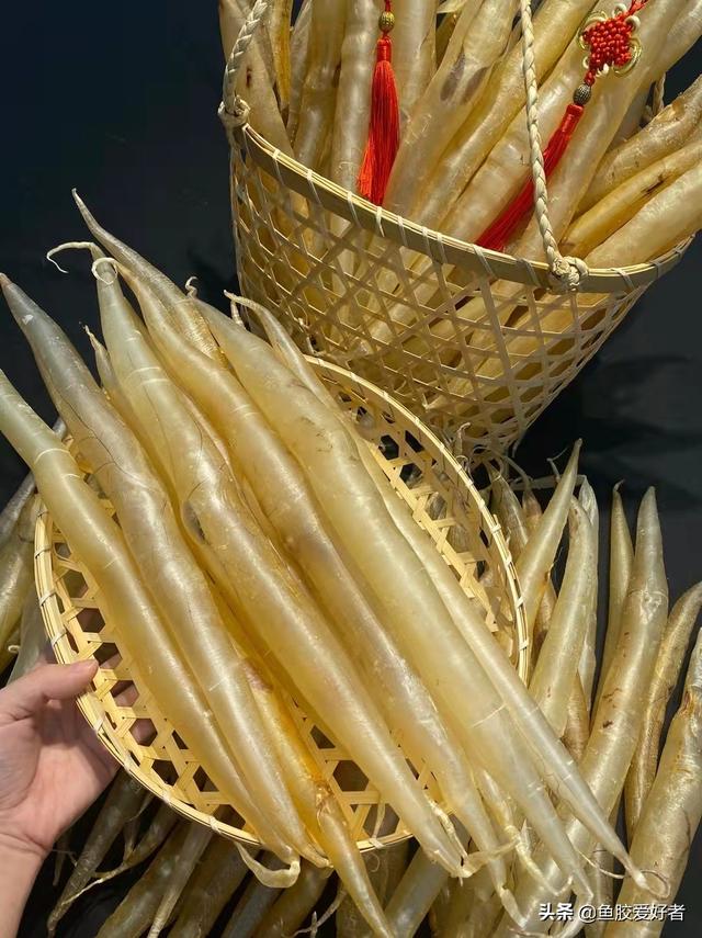 鱼胶和燕窝的功效 鱼胶和燕窝的功效与作用