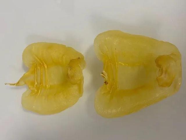 花胶公还是母的胶质多 花胶公的母的有什么区别吗