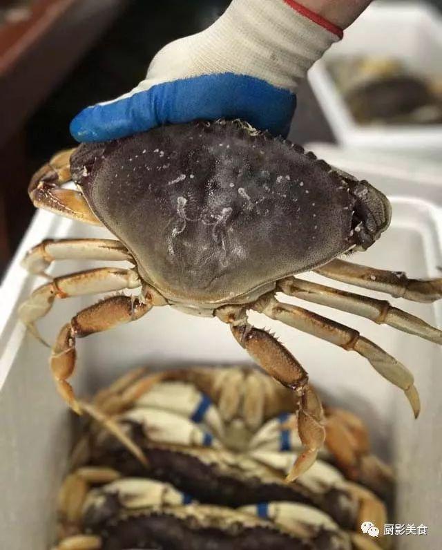 40头的花胶是几级 2025年花胶40头是什么意思?