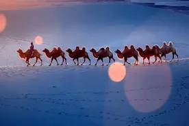 宣讲家文稿：推动“一带一路”高质量发展 落实全球发展倡议图片