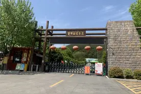枣阳：“东武当·唐梓山”文旅小镇助振兴图片