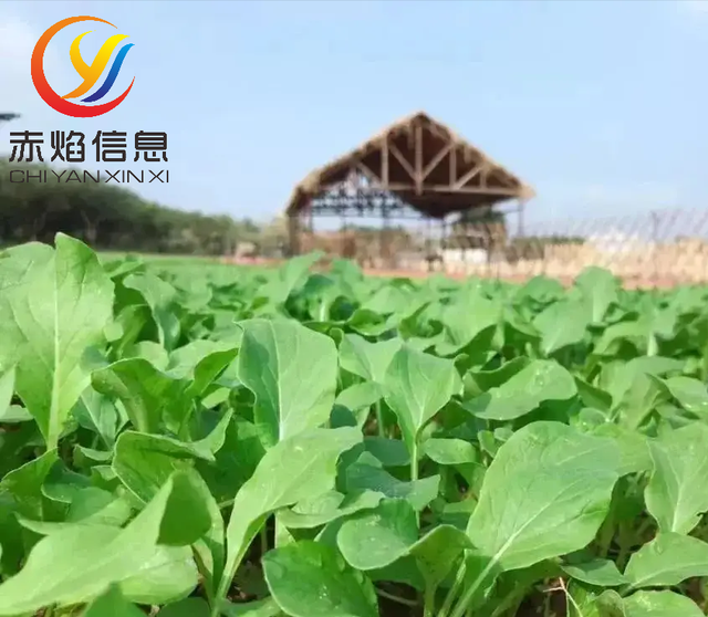 ����ũ��С����ϵͳ��ʲô���ܣ����Խ����Щ���⣿