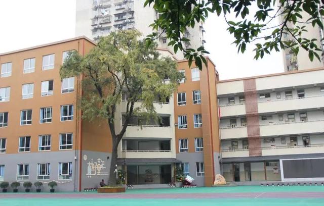 除了“五朵金花”，成都各个区还有哪些公办小学值得考察