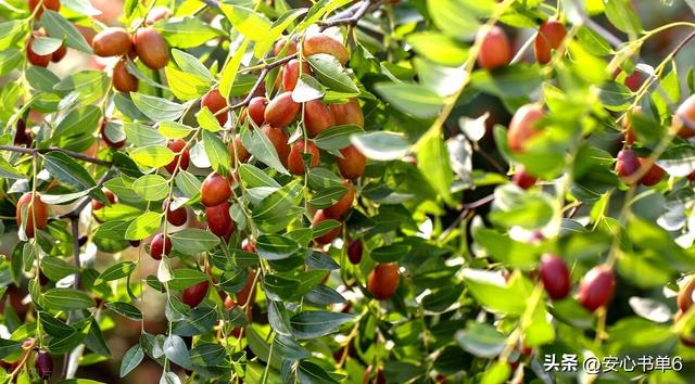 �ʺϷ�����Ȧ�ĸ����������İ����ղ�����