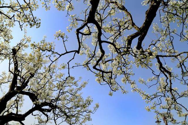 四川省民生研究会新媒体中心-官网