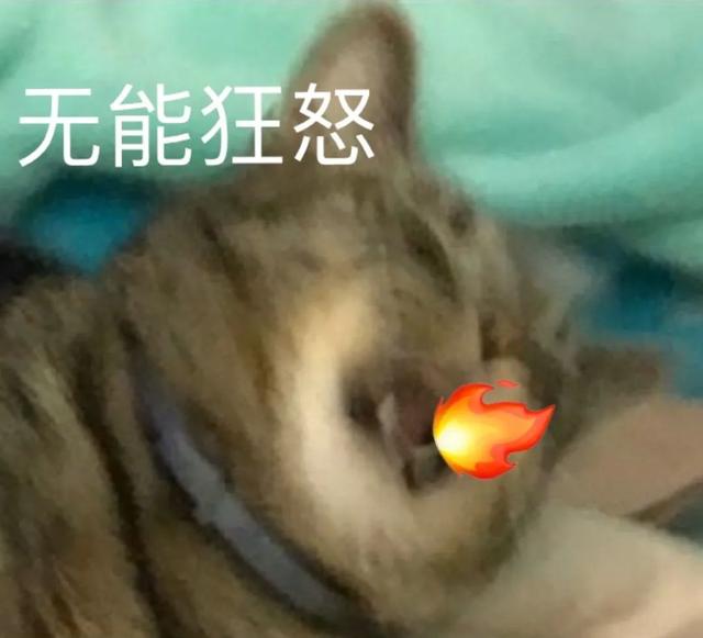 凭结婚证可查配偶结婚的建议，挺好