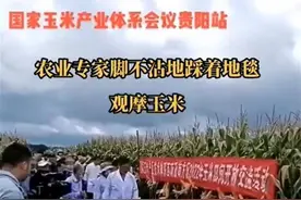 田间考察踩地毯？专家还是“接点地气”好图片