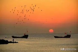 造船出海、织网捕鱼、赶海拾贝......魔都最后渔村的日常已远去，好在有这些“宝藏”老人为大家“保鲜”记忆图片