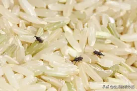 米虫最怕它，米袋里放一个，防潮还不生虫，好方法赶紧学图片
