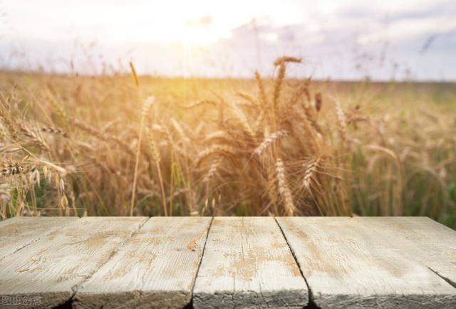 河南60亩小麦疑因药害绝产，“万能除草剂”甲基二磺隆是宝还是害