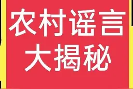 这些农村谣言不可信(2)图片