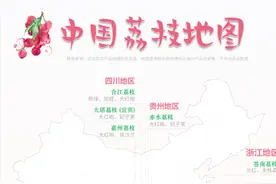 中国荔枝地图：一起看看哪里的荔枝最好吃图片