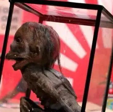 小时候都多多少少听父母警告过不要下河,会被河里的水猴子水鬼抓走.