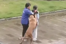 对话“用身体护住女孩挡大狗”的保洁阿姨儿子：母亲相信做善事会有福报，小时候自己落水被救过对妈妈感触很大图片