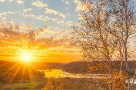 那些让阅卷老师眼前一亮的作文开头图片