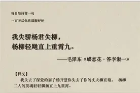 我失骄杨君失柳，杨柳轻飏直上重霄九图片