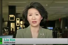 刘欣接受RT专访，首次披露引发中美主播约辩关键细节图片
