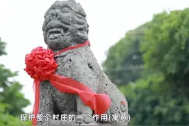 2021年，广东一村庄“镇村之宝”深夜被偷，神秘白色轿车引出线索图片