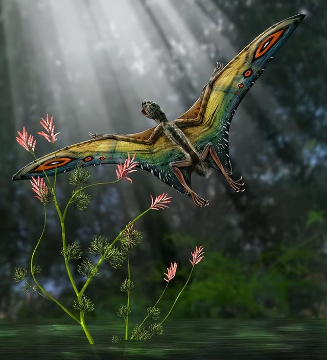 「伪百科」盘点昭和奥特曼中的古生物（终话）