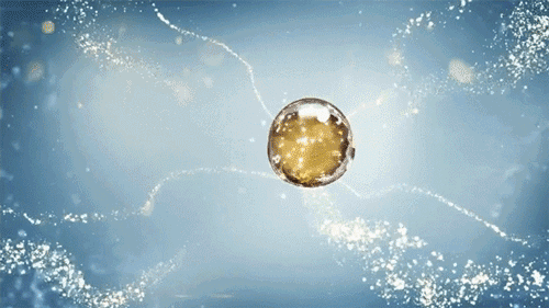 国际大牌雅诗兰黛和兰蔻最钟爱的“土豪酵母”，真的能抗衰吗？