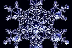 啧啧称奇！显微镜下的雪花让人不得不认为有造物主存在图片