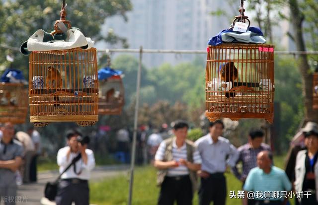 2022年,全世界最受欢迎的10大兴趣爱好,你都有吗?