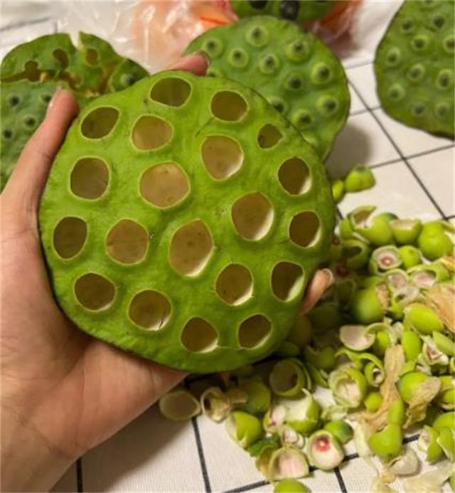 生吃莲蓬行吗（莲蓬可以直接剥开吃吗莲蓬怎么吃常见的莲蓬吃法有哪些）