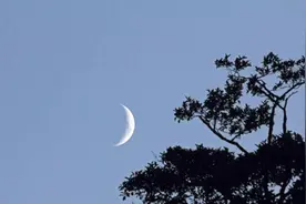 夜色撩人图片