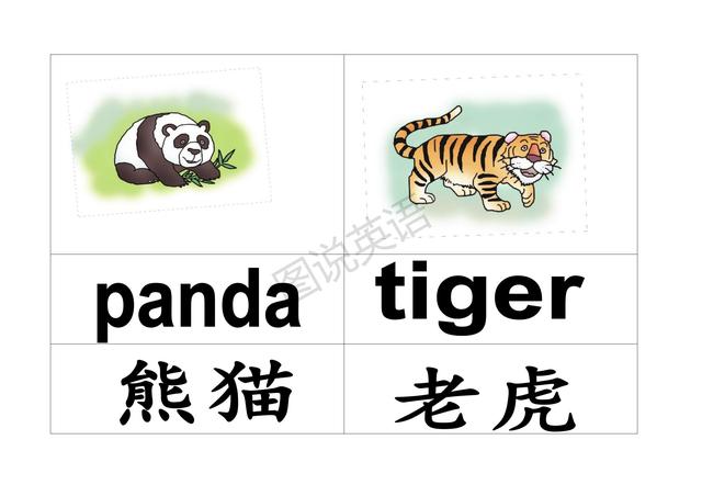 学科网图说英语:上海小学英语课本单词卡片