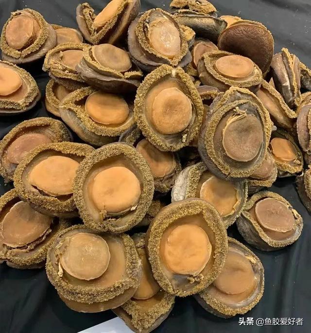 棉线花胶是什么鱼 英语四级没过考研英语能考多少分 棉线花胶是什么鱼 英语四级没过考研英语能考多少分